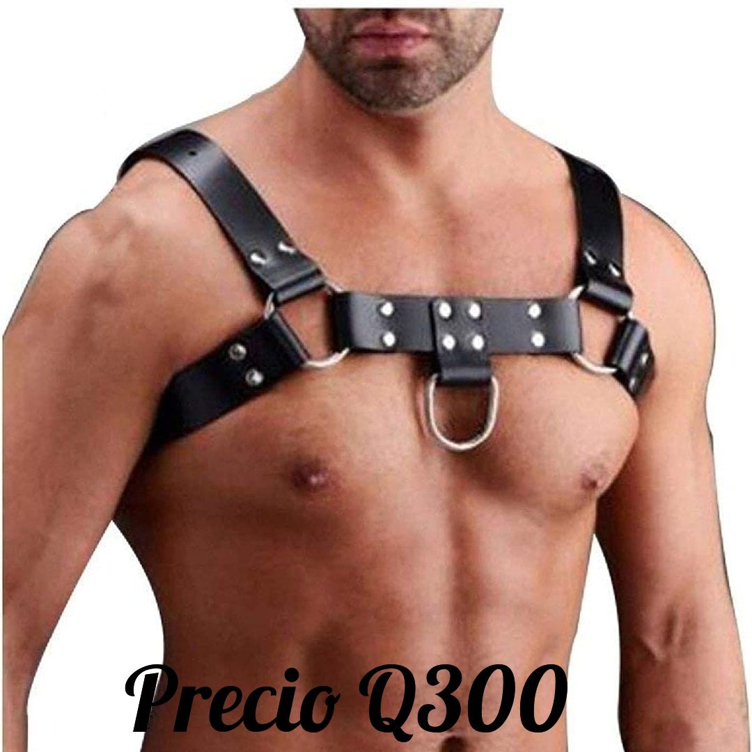 Arnes de pecho - Sex Shop 502